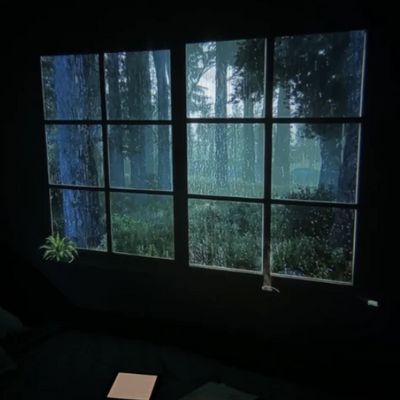 Projector