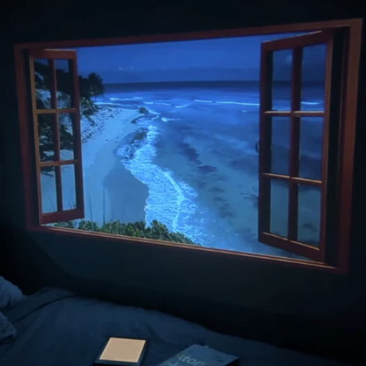 Projector